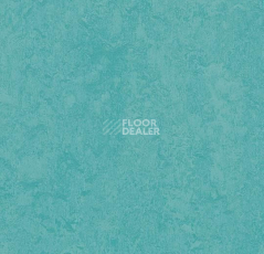 Линолеум Forbo Marmoleum Decibel on Order 326935 turquoise фото 1 | FLOORDEALER